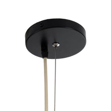 Load image into Gallery viewer, Water Hyacinth Pendant Lamp 90cm