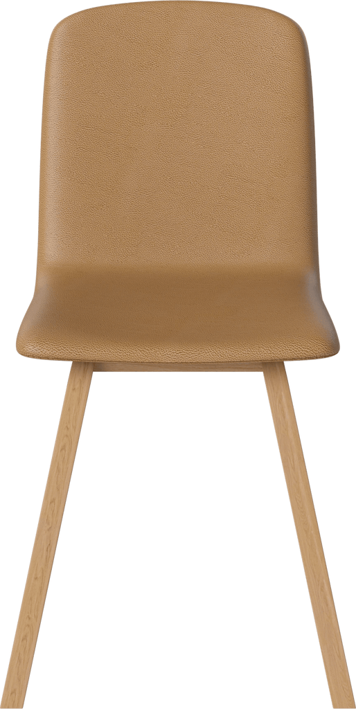 Palm Upholstered Dining chair