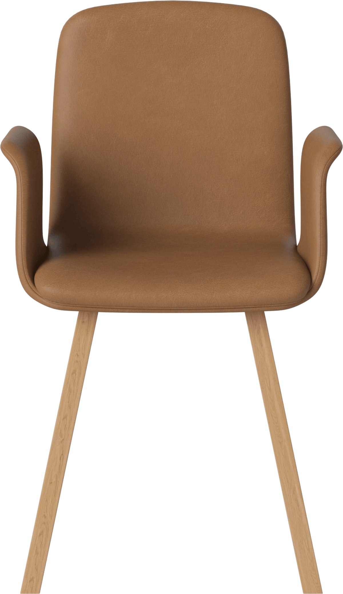 Palm Fully Upholstered Dining Chair w. Armrest