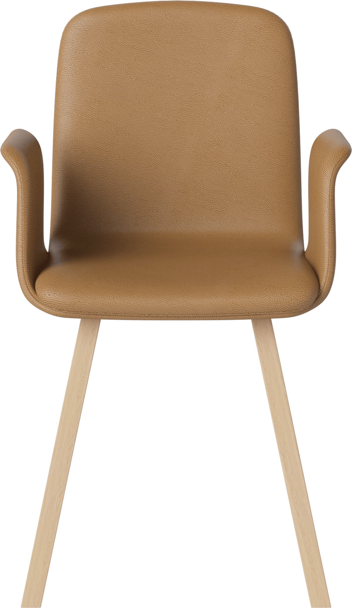 Palm Fully Upholstered Dining Chair w. Armrest