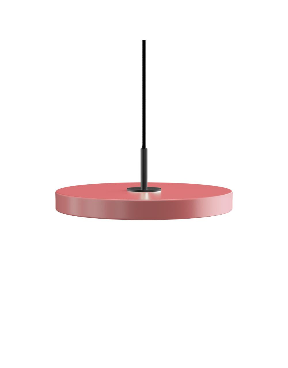 Asteria Mini 31 x 10,5 cm, 2.7m cordset