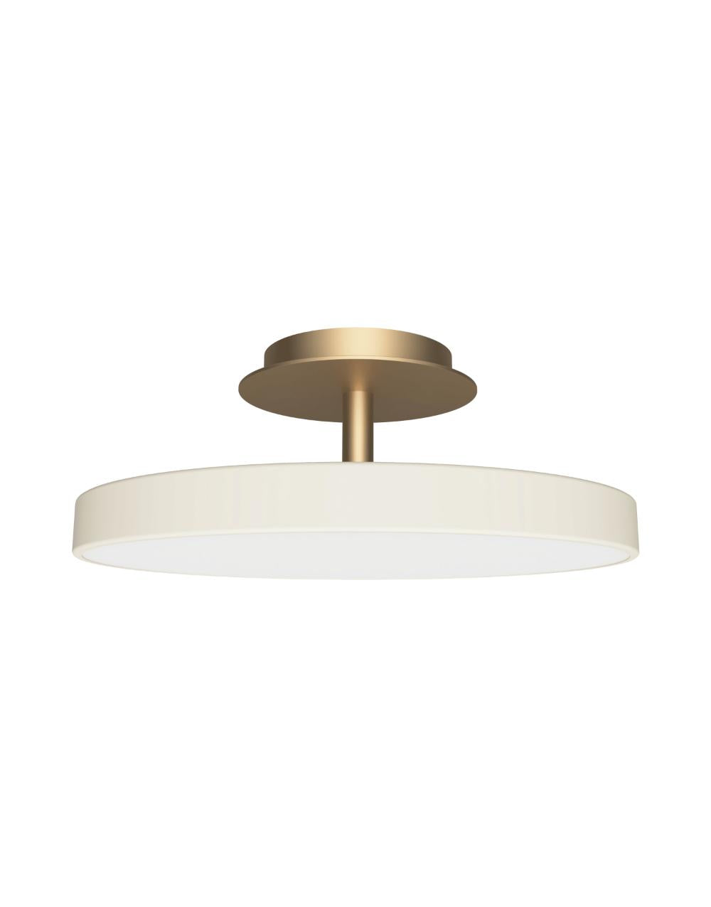 Asteria UP Plus Medium