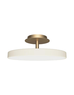 Asteria UP Plus Medium