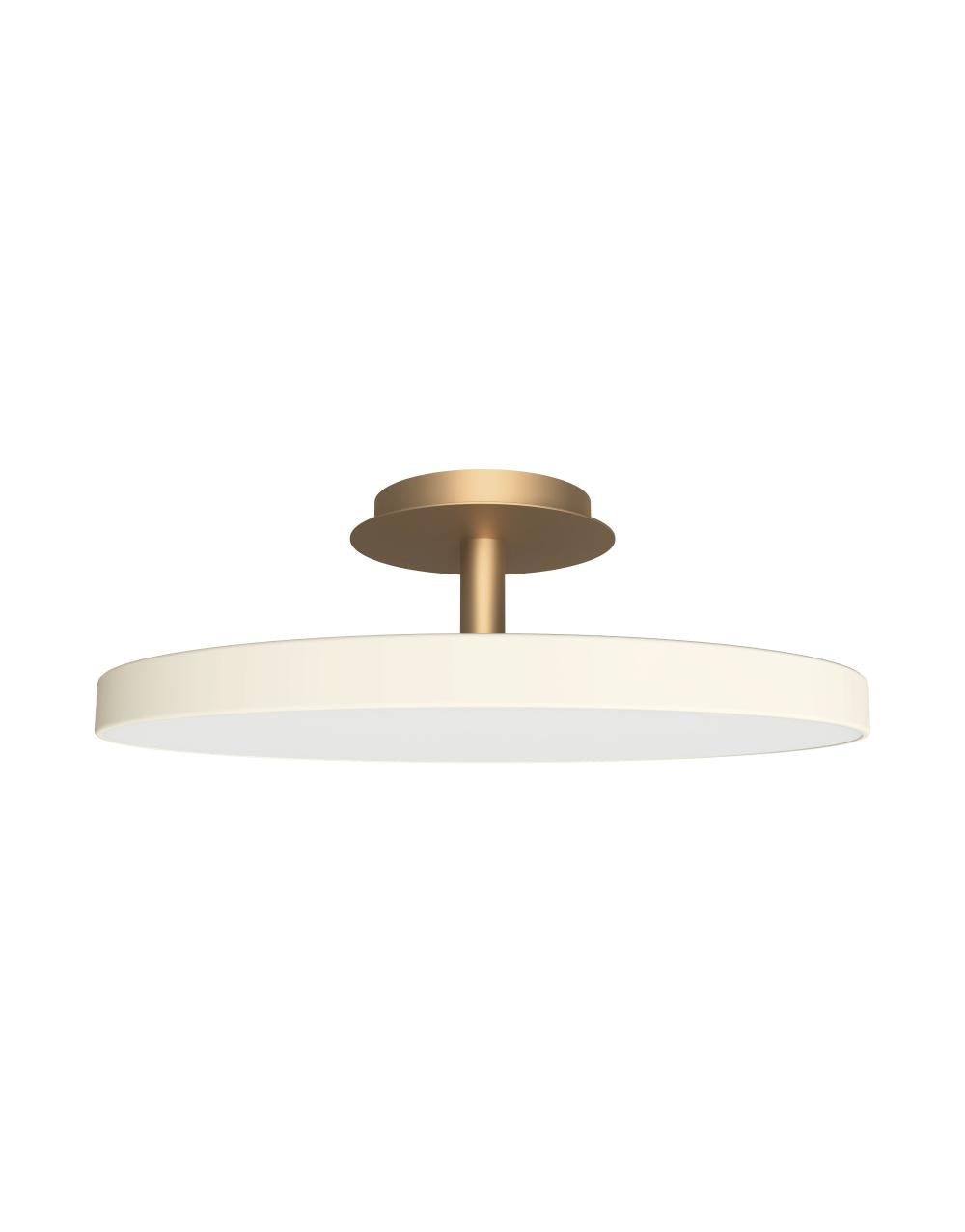 Asteria UP Plus Large