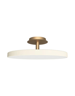 Asteria UP Plus Large