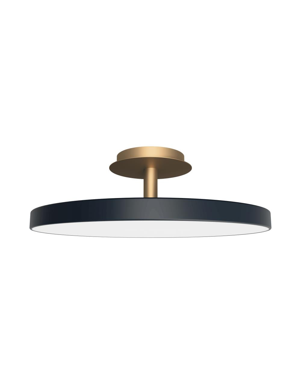 Asteria UP Plus Large