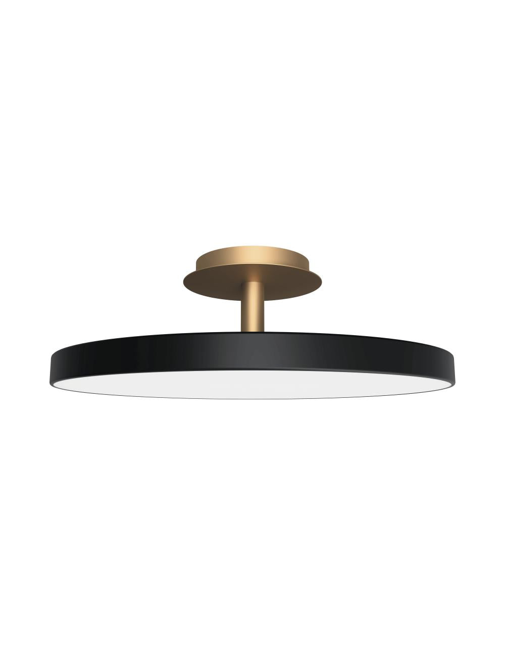 Asteria UP Plus Large