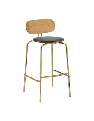 Curious Bar Stool