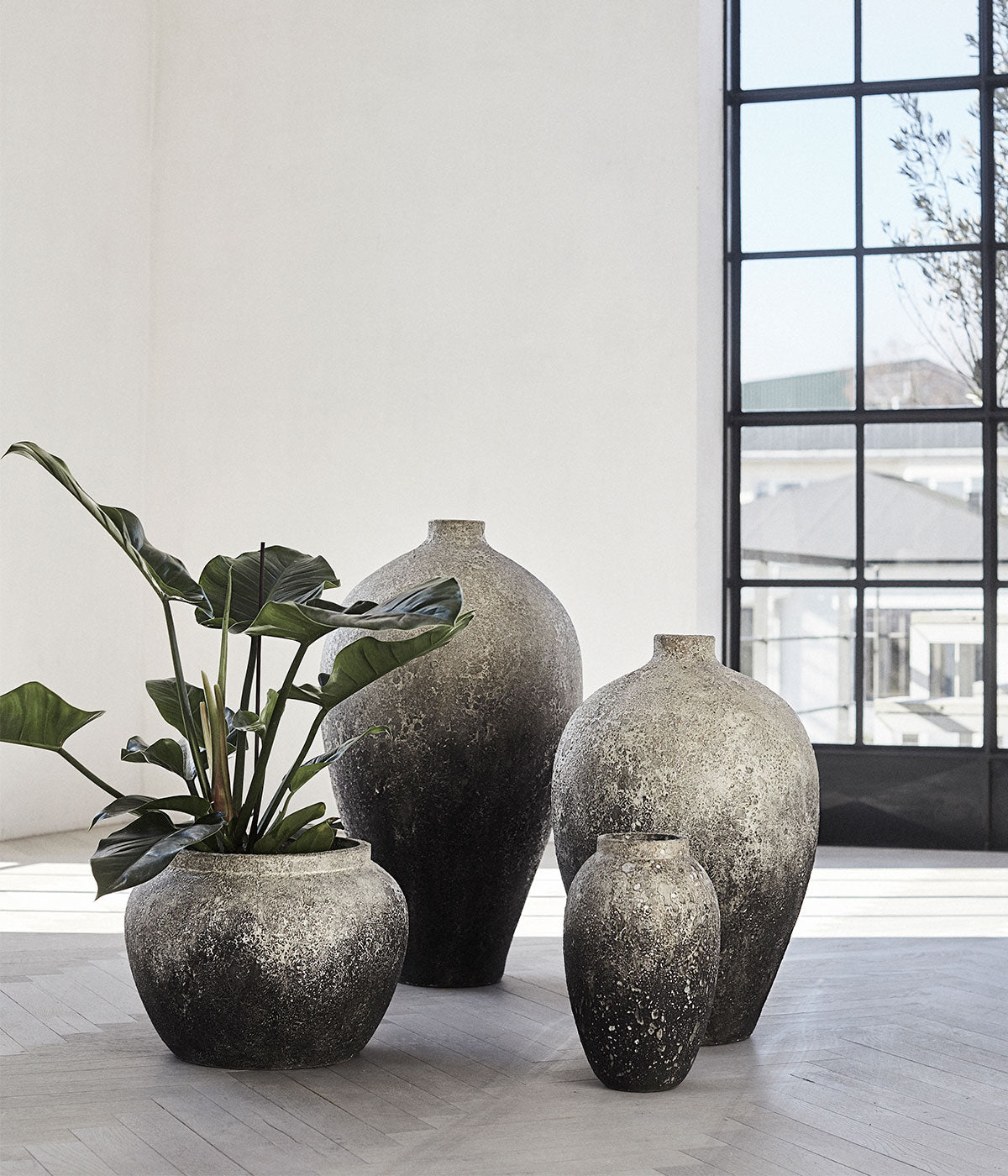 Jar Story 30 - Grey