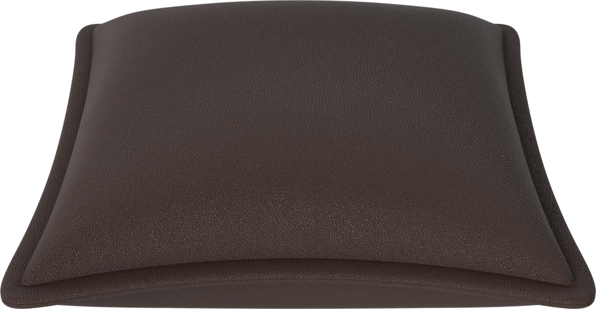 Frame Cushion