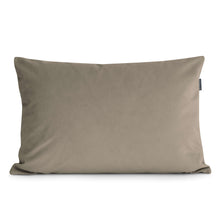 Carica l'immagine nel visualizzatore di Gallery, Pillow Rec 65