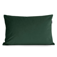 Carica l'immagine nel visualizzatore di Gallery, Pillow Rec 65