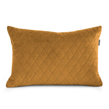 Carica l'immagine nel visualizzatore di Gallery, Pillow Rec 65