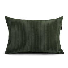 Carica l'immagine nel visualizzatore di Gallery, Pillow Rec 65
