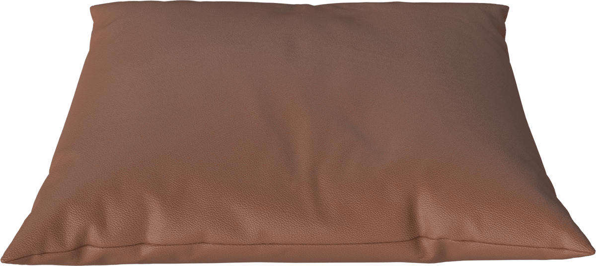 Classic Cushion