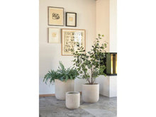 Carica l&#39;immagine nel visualizzatore di Gallery, Thum Plant basket 2 pcs Nature