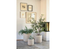 Carica l&#39;immagine nel visualizzatore di Gallery, Thum Plant basket 2 pcs Nature