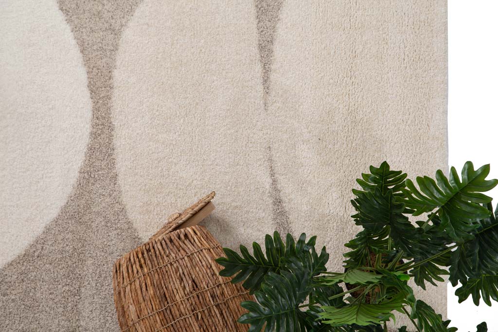 Lilly Carpet 200x290cm