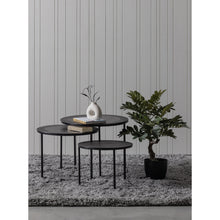 Cargar imagen en el visor de la galería, Nové rug light grey/black 200x300cm