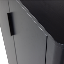 Laden Sie das Bild in den Galerie-Viewer, GUNNAR 2-DOORS CABINET PINE MATT BLACK [fsc]