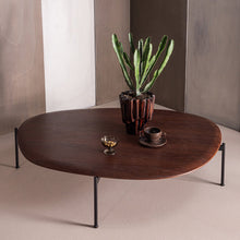 Laden Sie das Bild in den Galerie-Viewer, KOTA COFFEE TABLE 26X121X79 CM MDF/VENEER BROWN