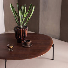 Laden Sie das Bild in den Galerie-Viewer, KOTA COFFEE TABLE 26X121X79 CM MDF/VENEER BROWN
