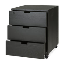 Load image into Gallery viewer, Billy drawer unit
