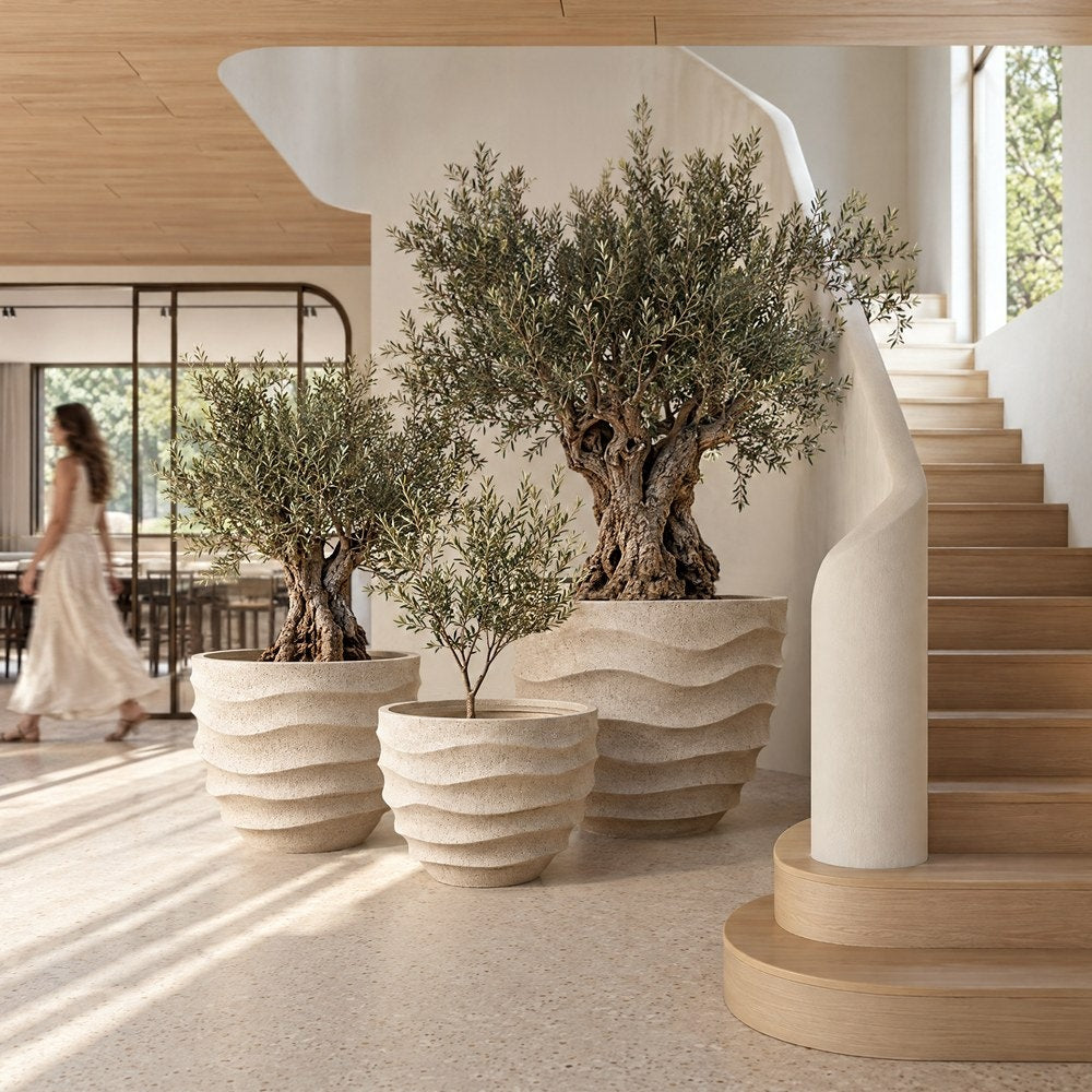 Set of 3 Beige Fibreglass Planters - group