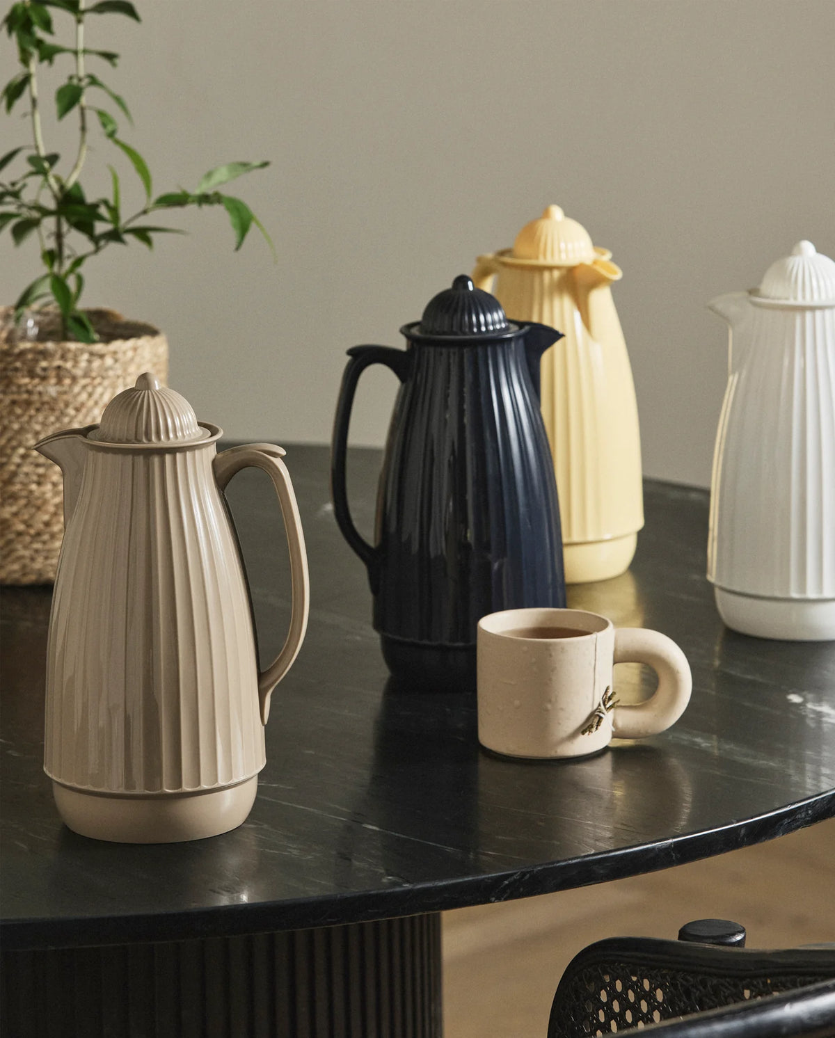CARVI Thermos Jug