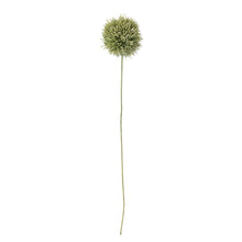 Load image into Gallery viewer, Allium Stem, Green, Artificial Flowers