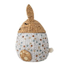 Charger l'image dans la galerie, Villja Basket w/Lid, Multi, Water Hyacinth