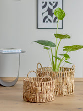 Load image into Gallery viewer, Pepita Basket, Nature, Water Hyacinth