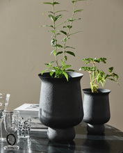 Load image into Gallery viewer, ADONY planter, M