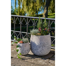 Load image into Gallery viewer, Fiber clay plant pots grey