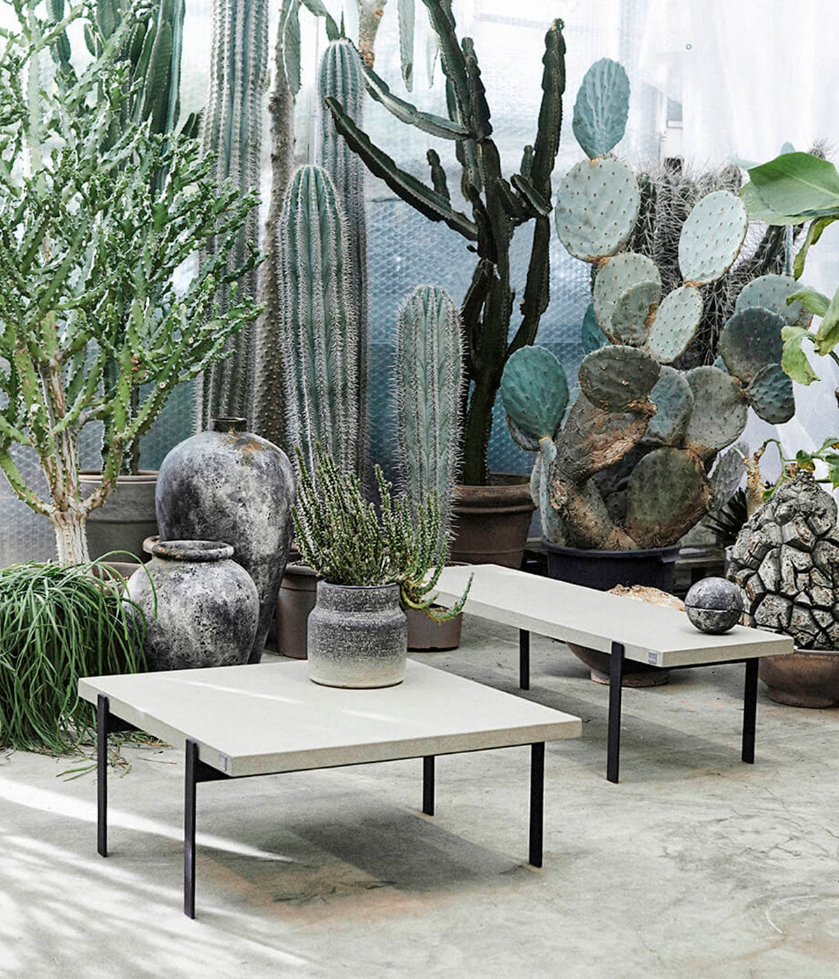 Stone Bench Rush - Grey