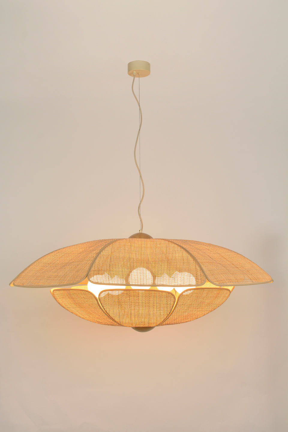 Coquillage D110