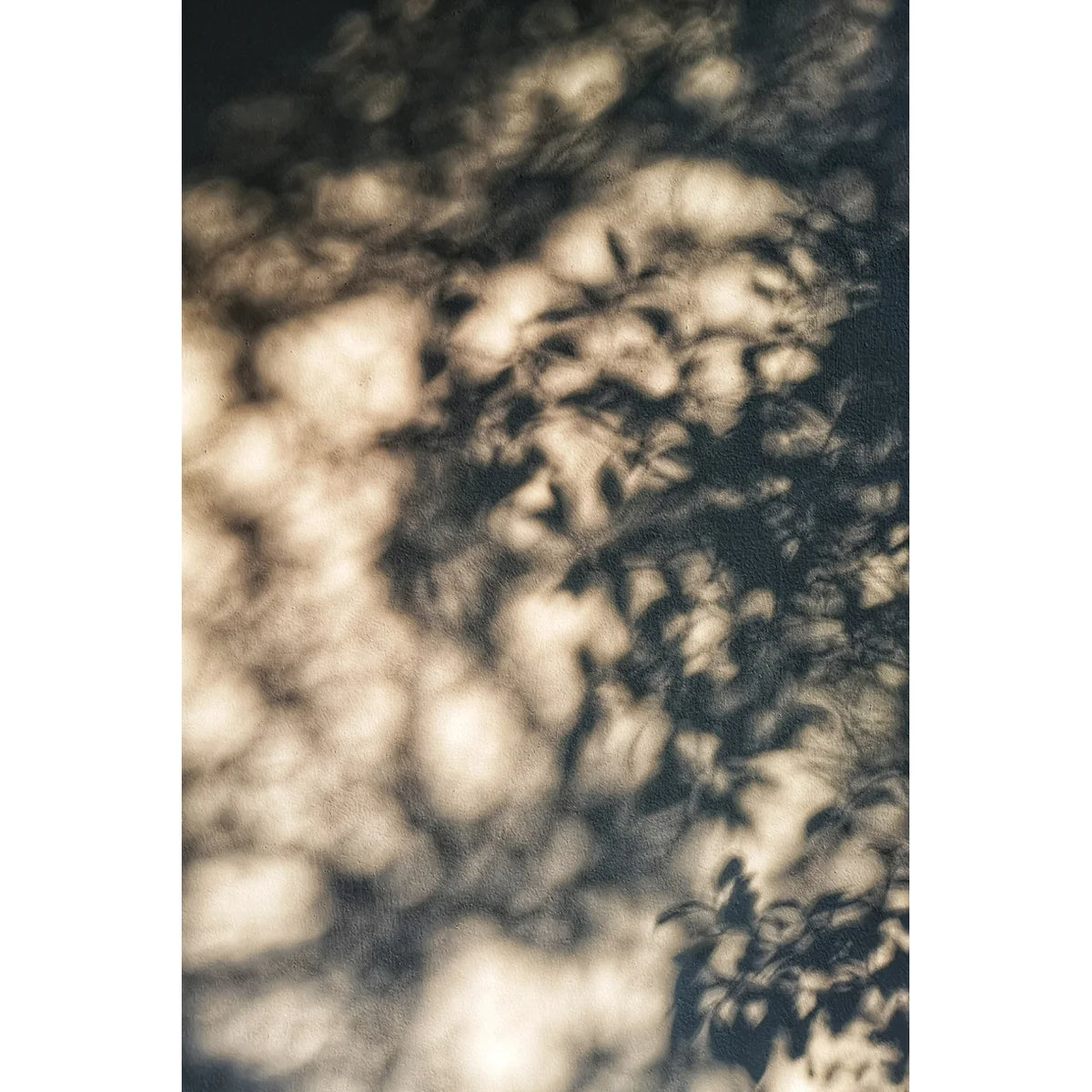 Linen canvas - Shadow Composition