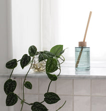 Load image into Gallery viewer, ARKTIS - Scent Diffuser 200ml