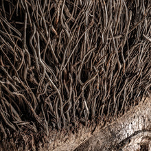 Load image into Gallery viewer, ETHNIC BUST