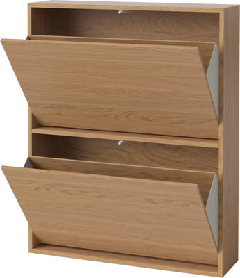 Case Shoe Cabinet