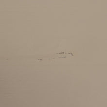 Laden Sie das Bild in den Galerie-Viewer, DAILY CLOSET SINGLE 200x50CM PINE DAKARGRAU [fsc]