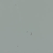 Load image into Gallery viewer, NIKKI DESK PINE GREEN [fsc]