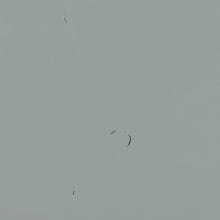 Laden Sie das Bild in den Galerie-Viewer, NIKKI SOFABED PINE GREEN [fsc]