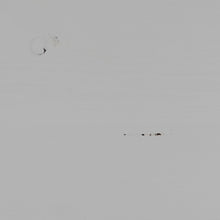 Laden Sie das Bild in den Galerie-Viewer, BASIC 4-DRS DISPLAY CABINET PINE MIST [fsc]