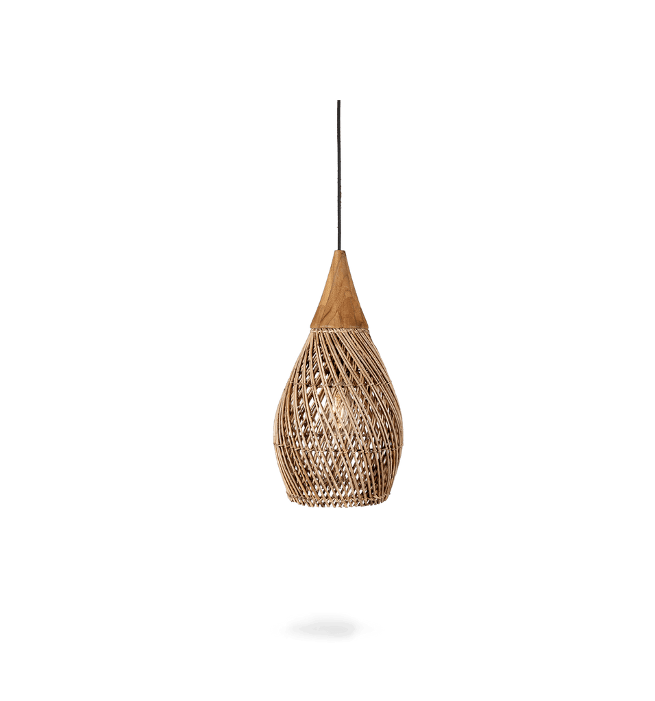 HORN LAMP