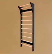 Cargar imagen en el visor de la galería, TAIMI wall bars | black - birch
