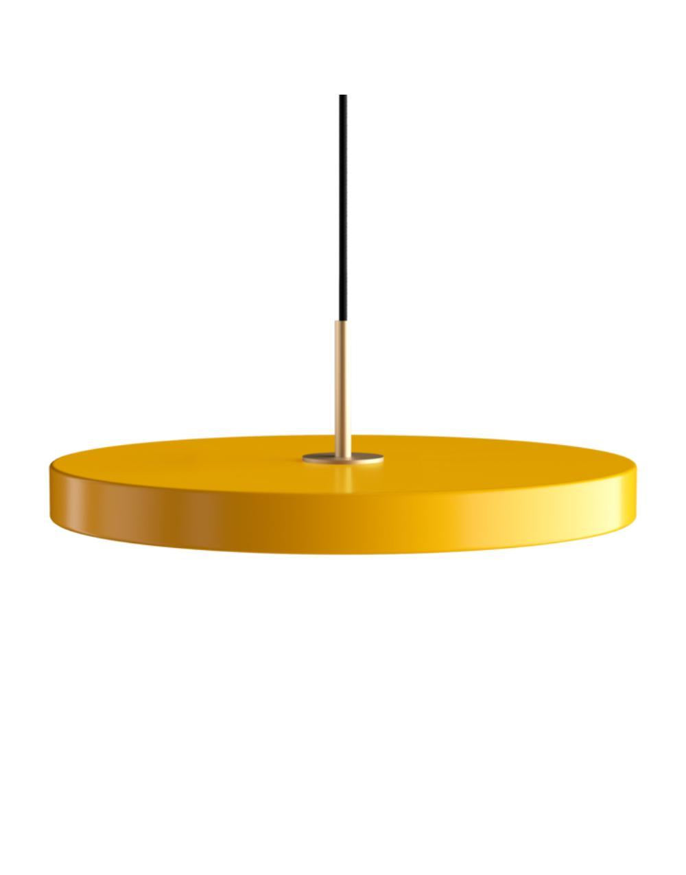 Asteria Medium 43 x 14 cm, 2.7m cordset