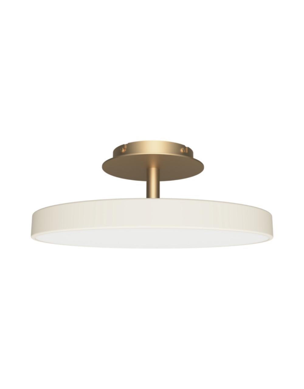 Asteria Up Medium O 43 x 16,9 cm