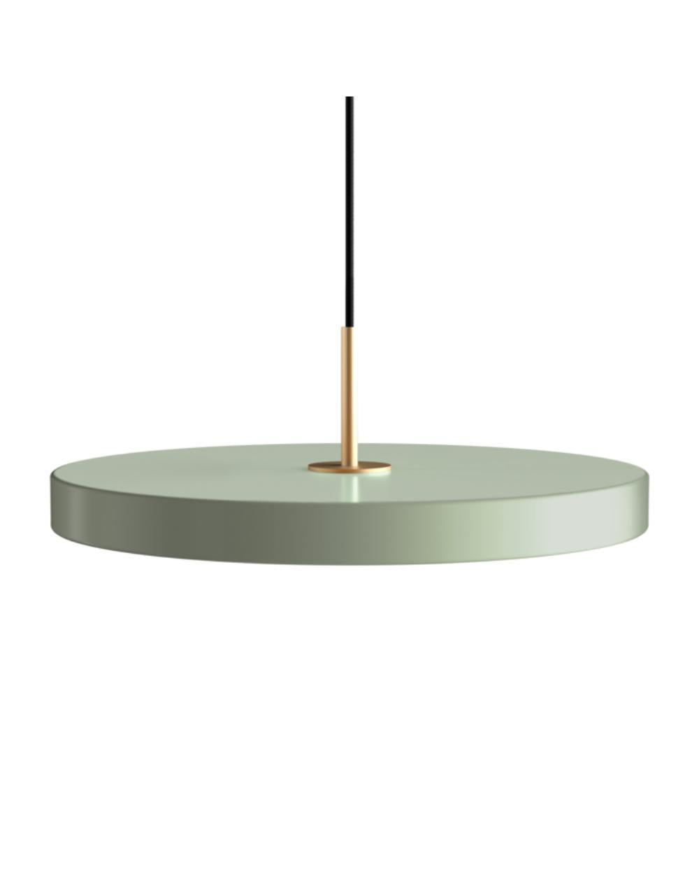 Asteria Medium 43 x 14 cm, 2.7m cordset