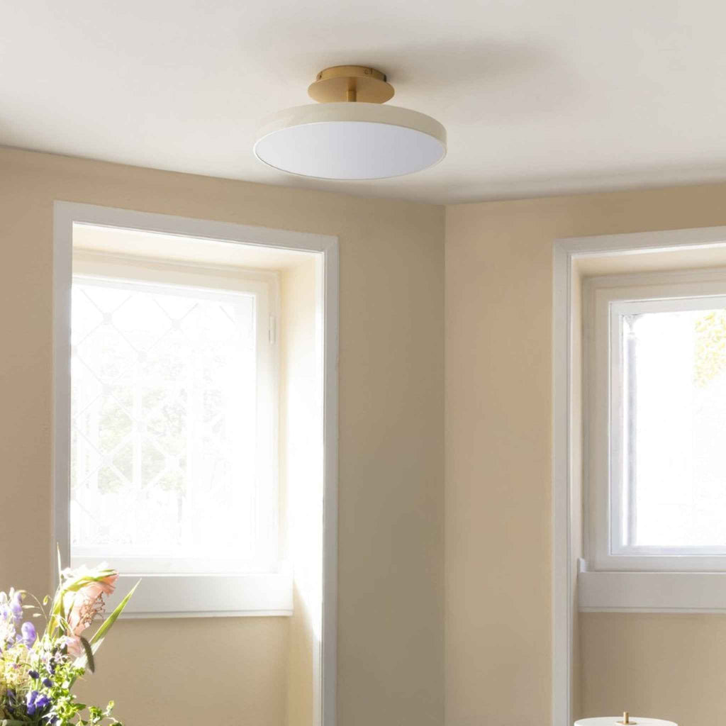 Asteria Plus Medium - lifestyle